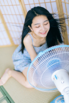 忠奸人 电视剧